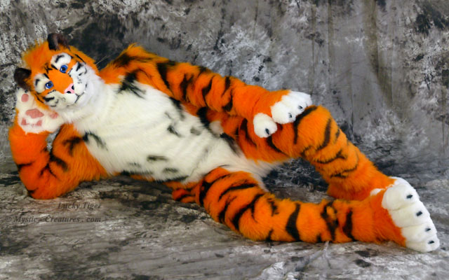 Lucky-Tiger, march 2012